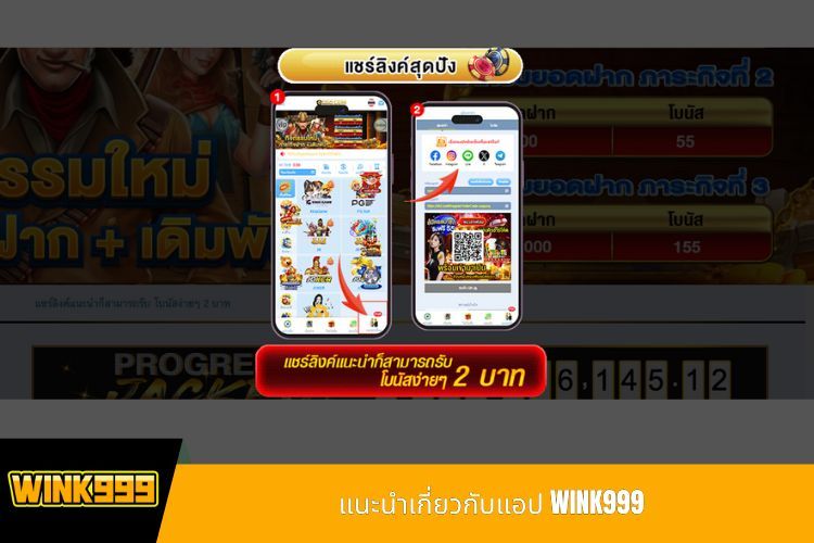 แนะนำเกี่ยวกับแอป WINK999